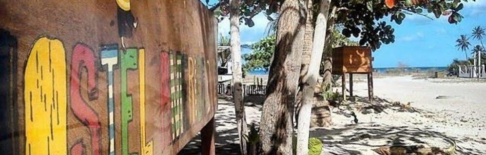 Hostel America Do Sul 日若卡-迪热里科阿科阿拉 外观 照片